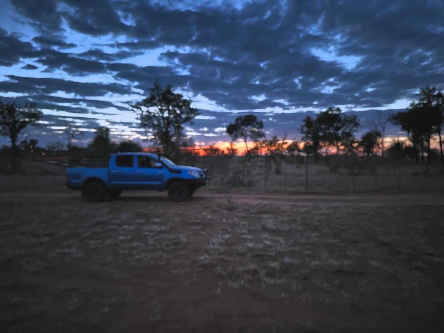  Safari & Wildlife Trip